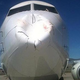 Illustration for article titled What happens when a flock of birds hits an airplane head on
